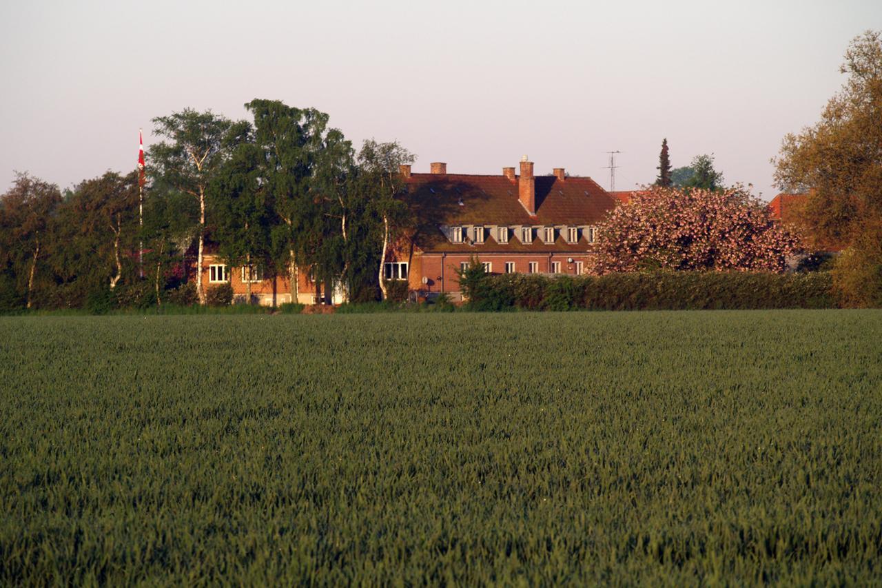 Hotel Lolland Norreballe Bagian luar foto