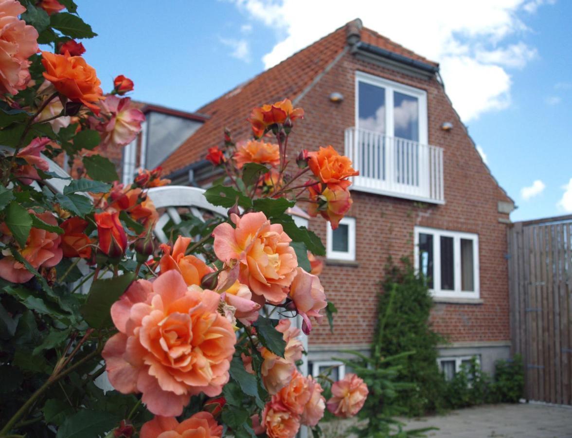 Hotel Lolland Norreballe Bagian luar foto